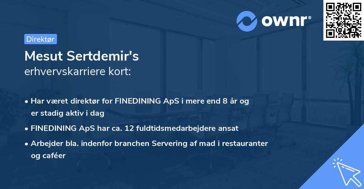 Mesut Sertdemir's erhvervskarriere kort