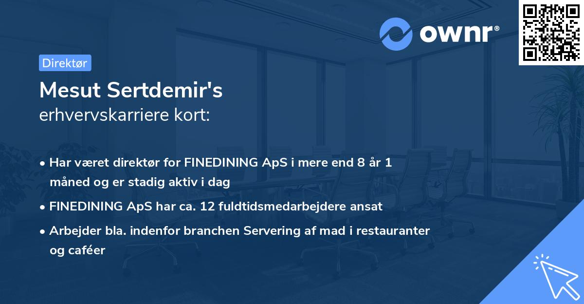 Mesut Sertdemir's erhvervskarriere kort
