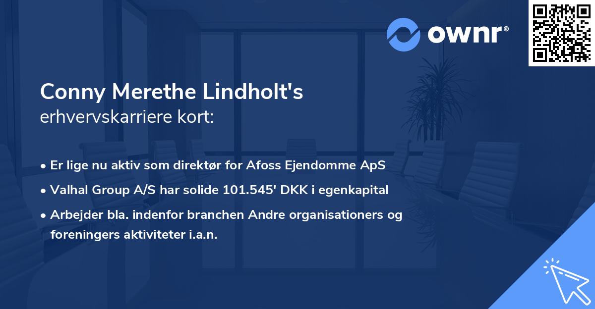 Conny Merethe Lindholt's erhvervskarriere kort