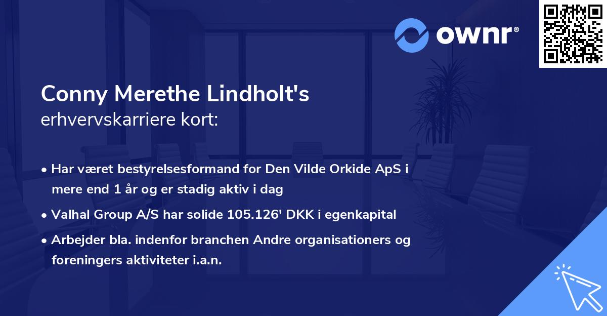 Conny Merethe Lindholt's erhvervskarriere kort