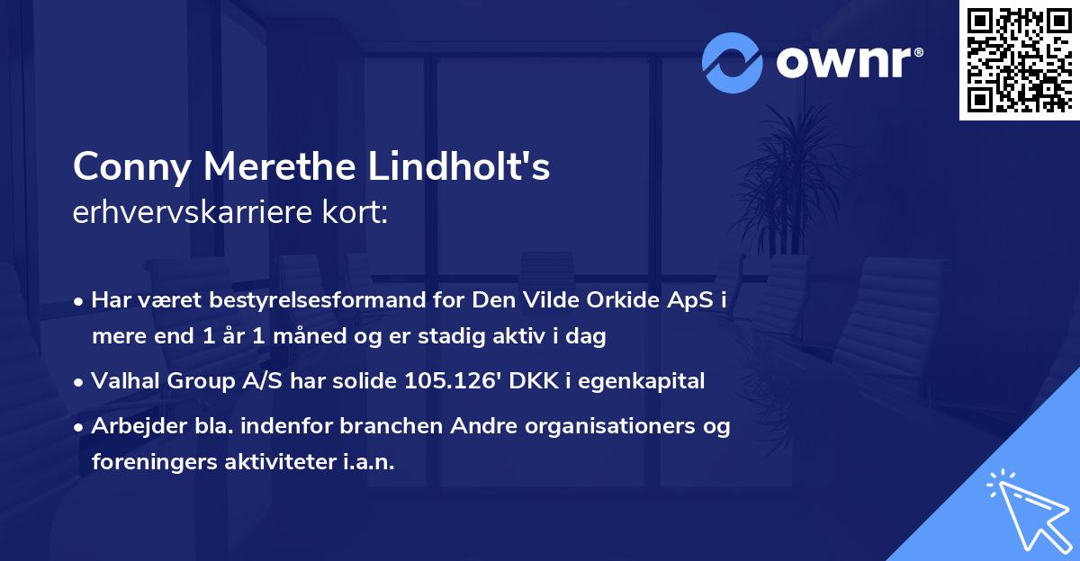 Conny Merethe Lindholt's erhvervskarriere kort