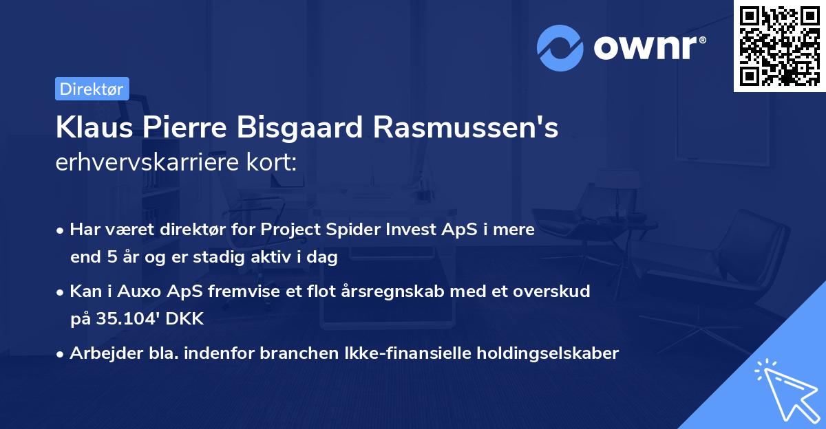 Klaus Pierre Bisgaard Rasmussen's erhvervskarriere kort