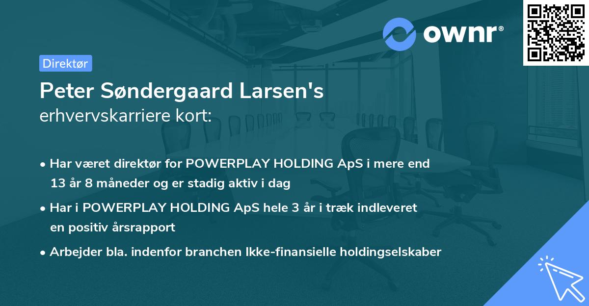 Peter Søndergaard Larsen's erhvervskarriere kort