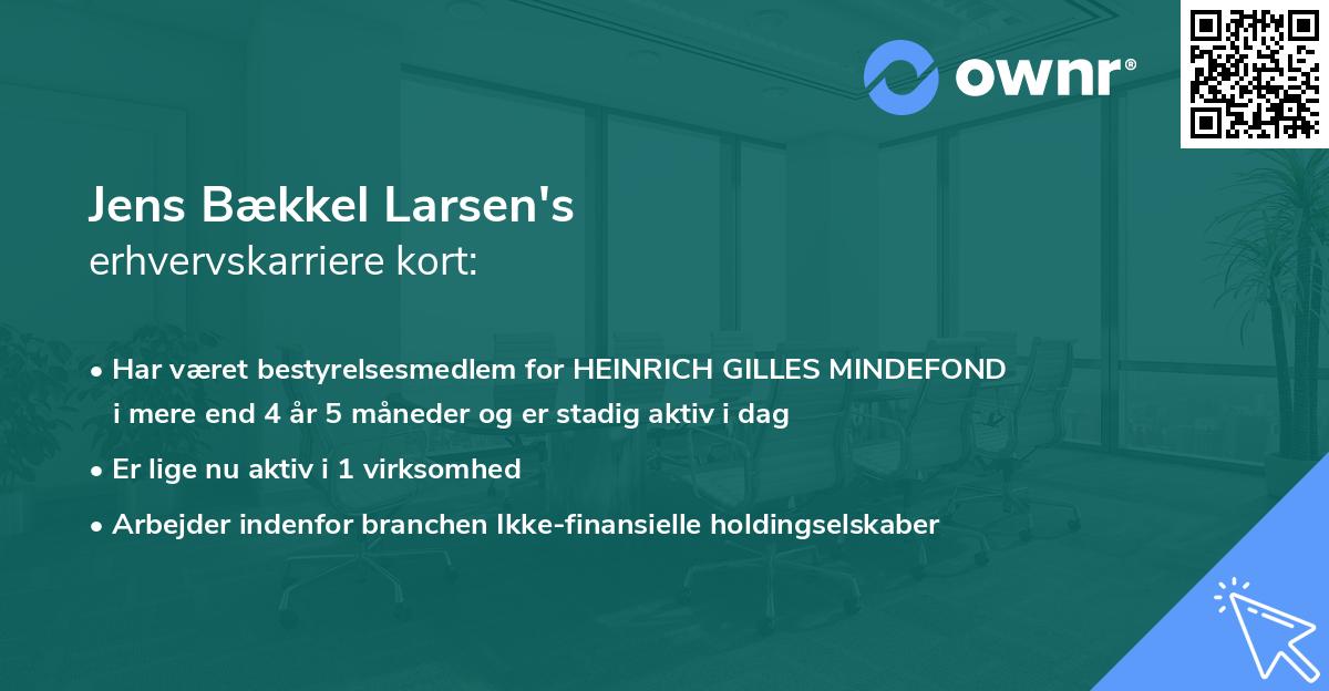 Jens Bækkel Larsen's erhvervskarriere kort