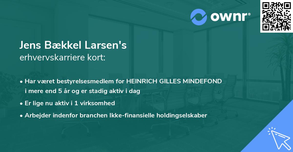 Jens Bækkel Larsen's erhvervskarriere kort