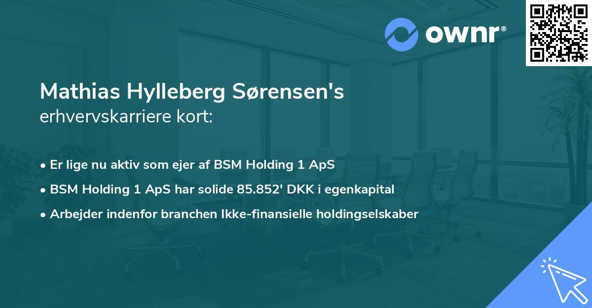Mathias Hylleberg Sørensen's erhvervskarriere kort