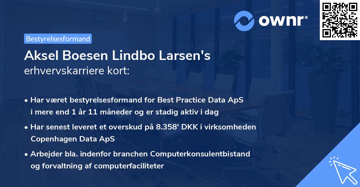 Aksel Boesen Lindbo Larsen's erhvervskarriere kort