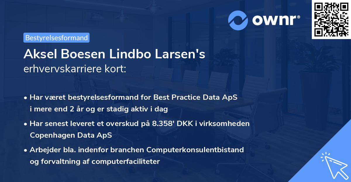 Aksel Boesen Lindbo Larsen's erhvervskarriere kort