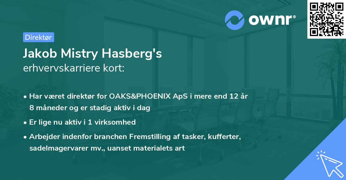 Jakob Mistry Hasberg's erhvervskarriere kort