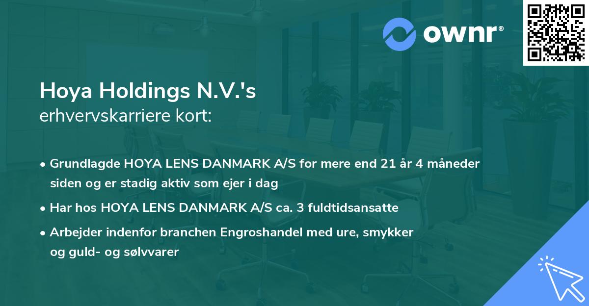 Hoya Holdings N.V.'s erhvervskarriere kort