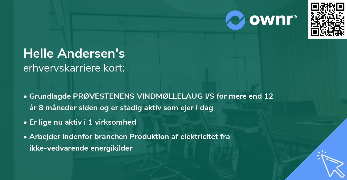 Helle Andersen's erhvervskarriere kort