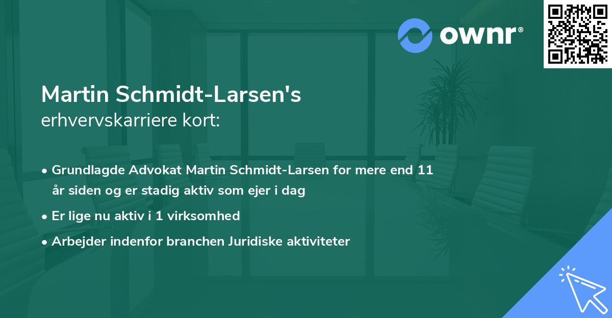 Martin Schmidt-Larsen's erhvervskarriere kort