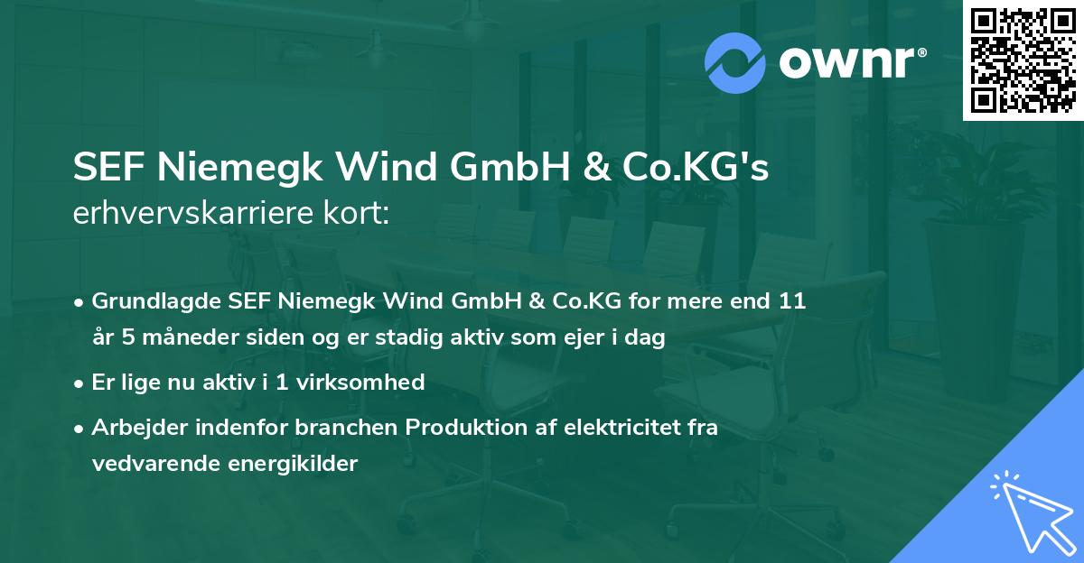 SEF Niemegk Wind GmbH & Co.KG's erhvervskarriere kort