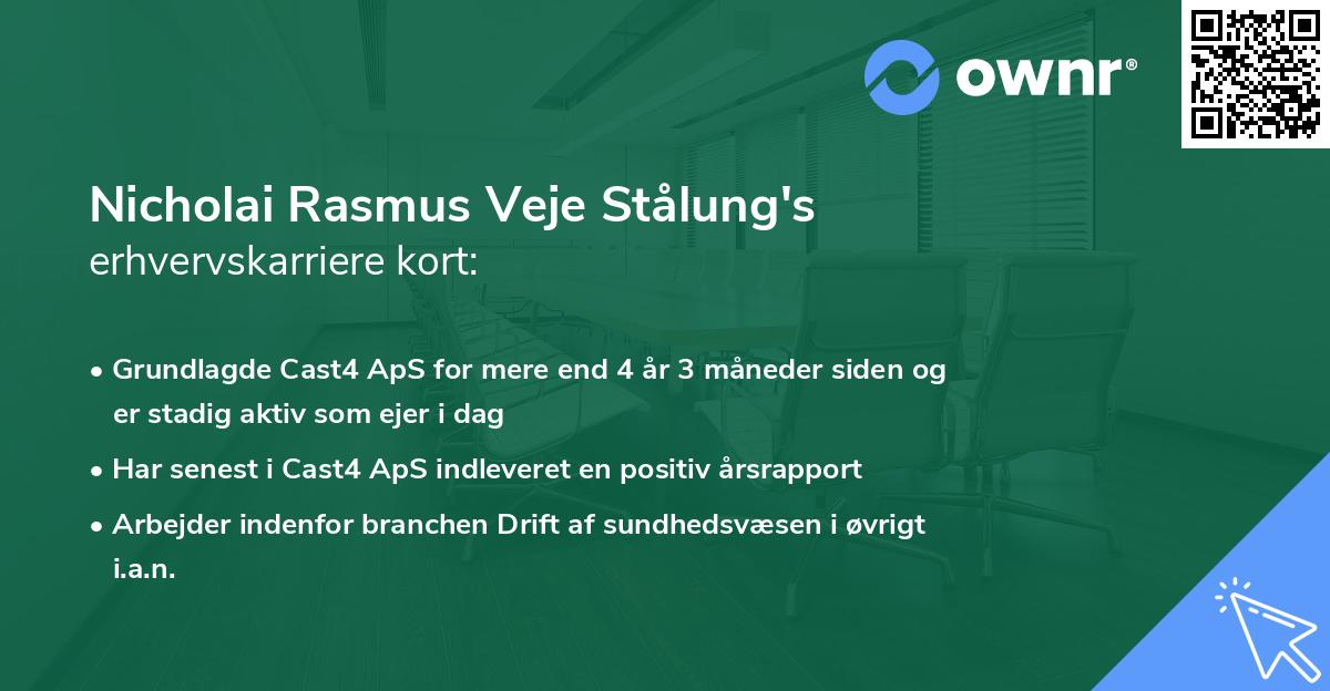 Nicholai Rasmus Veje Stålung's erhvervskarriere kort