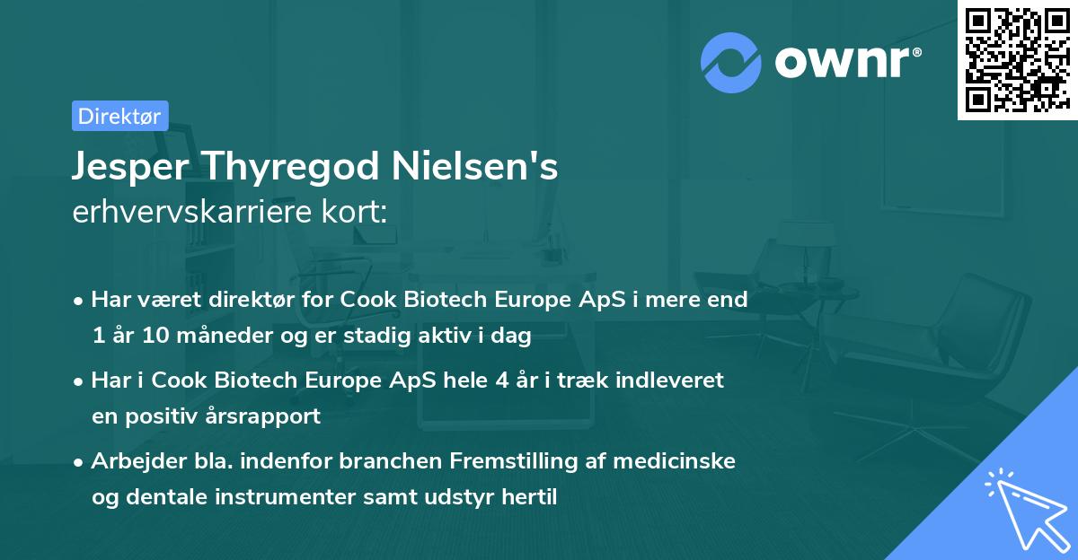 Jesper Thyregod Nielsen's erhvervskarriere kort