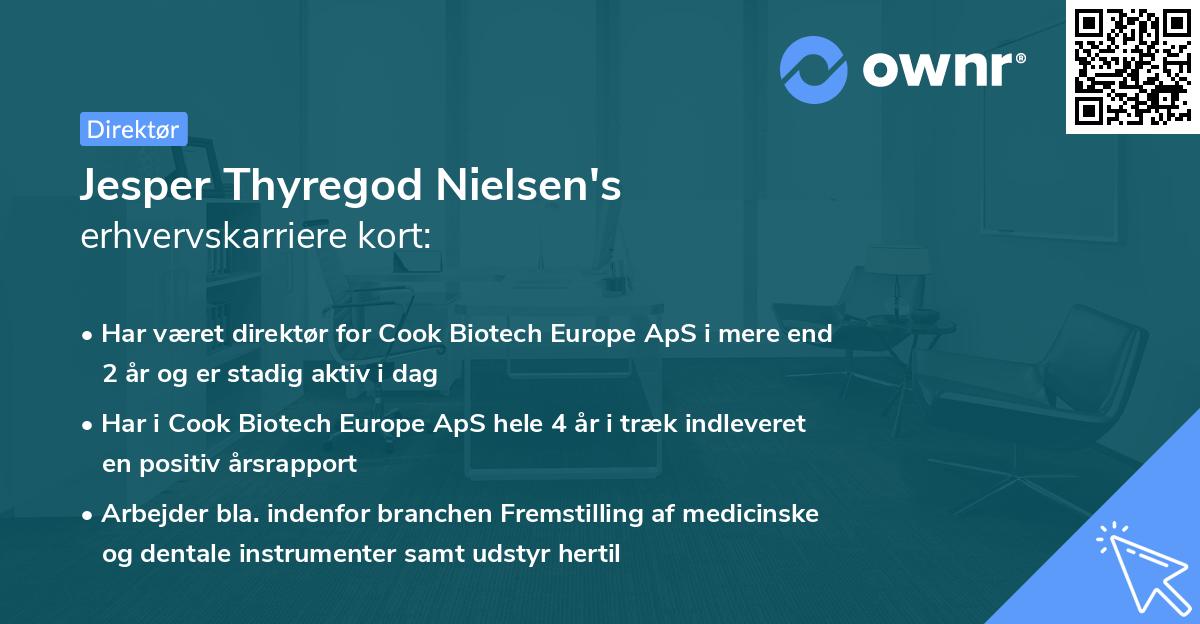 Jesper Thyregod Nielsen's erhvervskarriere kort