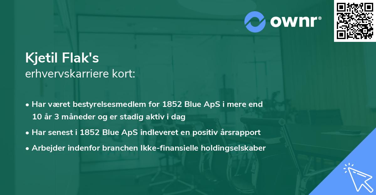 Kjetil Flak's erhvervskarriere kort