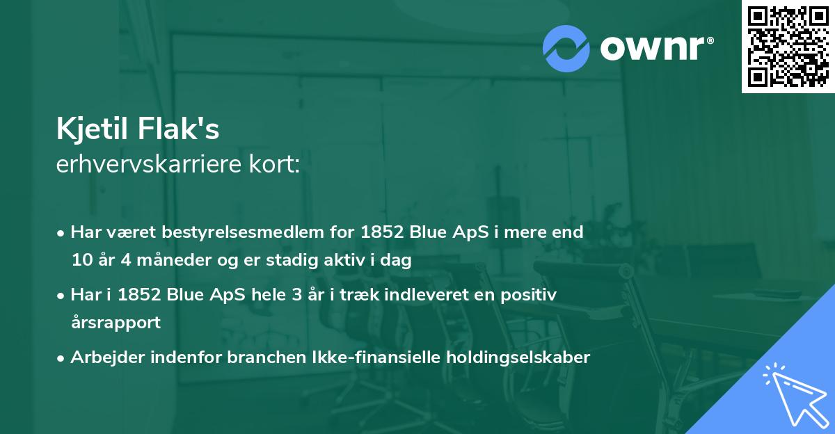 Kjetil Flak's erhvervskarriere kort