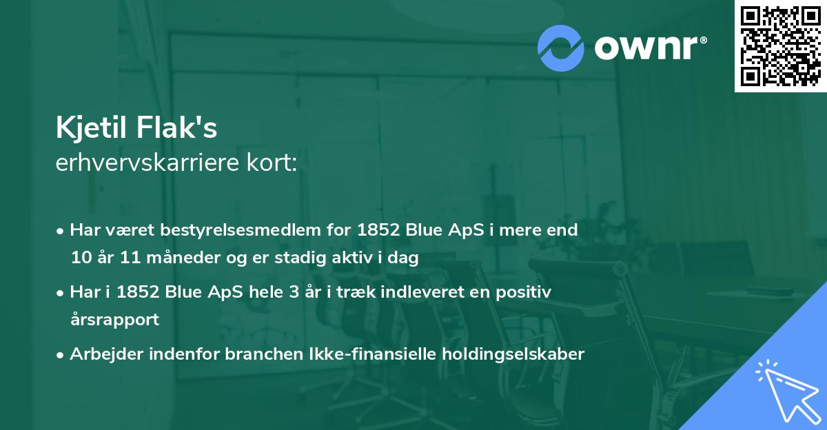 Kjetil Flak's erhvervskarriere kort