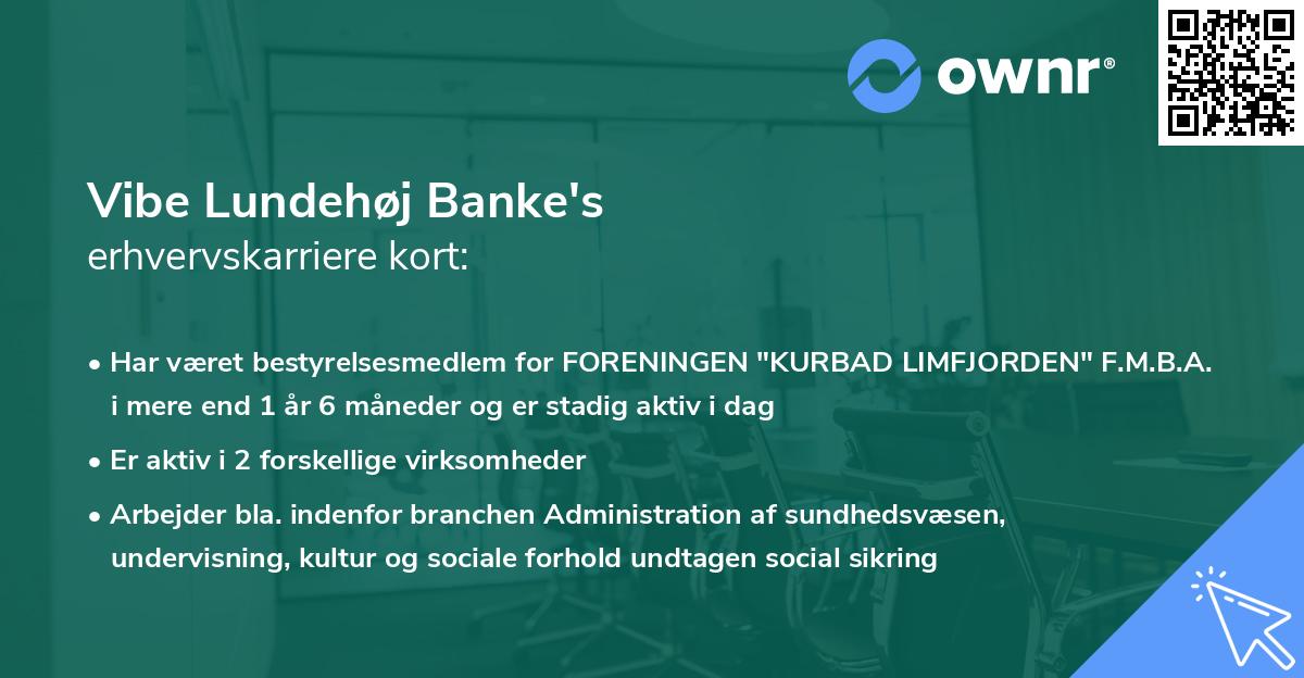 Vibe Lundehøj Banke's erhvervskarriere kort