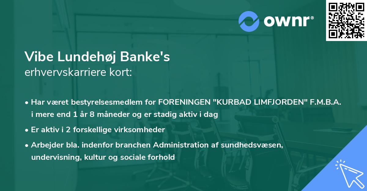 Vibe Lundehøj Banke's erhvervskarriere kort