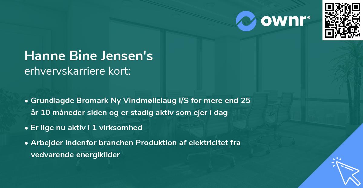Hanne Bine Jensen's erhvervskarriere kort