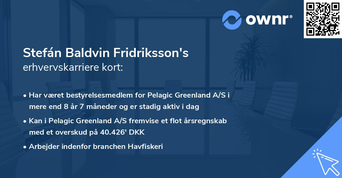 Stefán Baldvin Fridriksson's erhvervskarriere kort