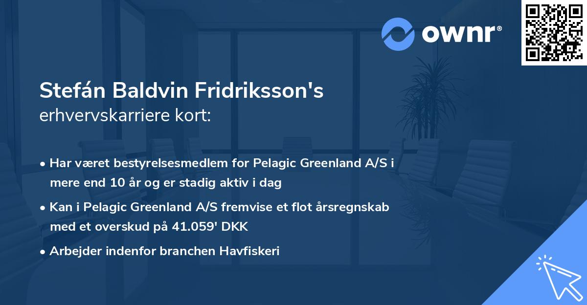 Stefán Baldvin Fridriksson's erhvervskarriere kort