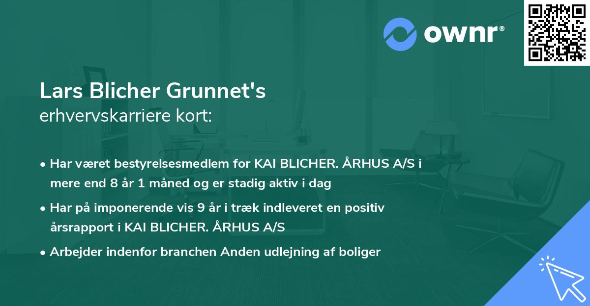 Lars Blicher Grunnet's erhvervskarriere kort