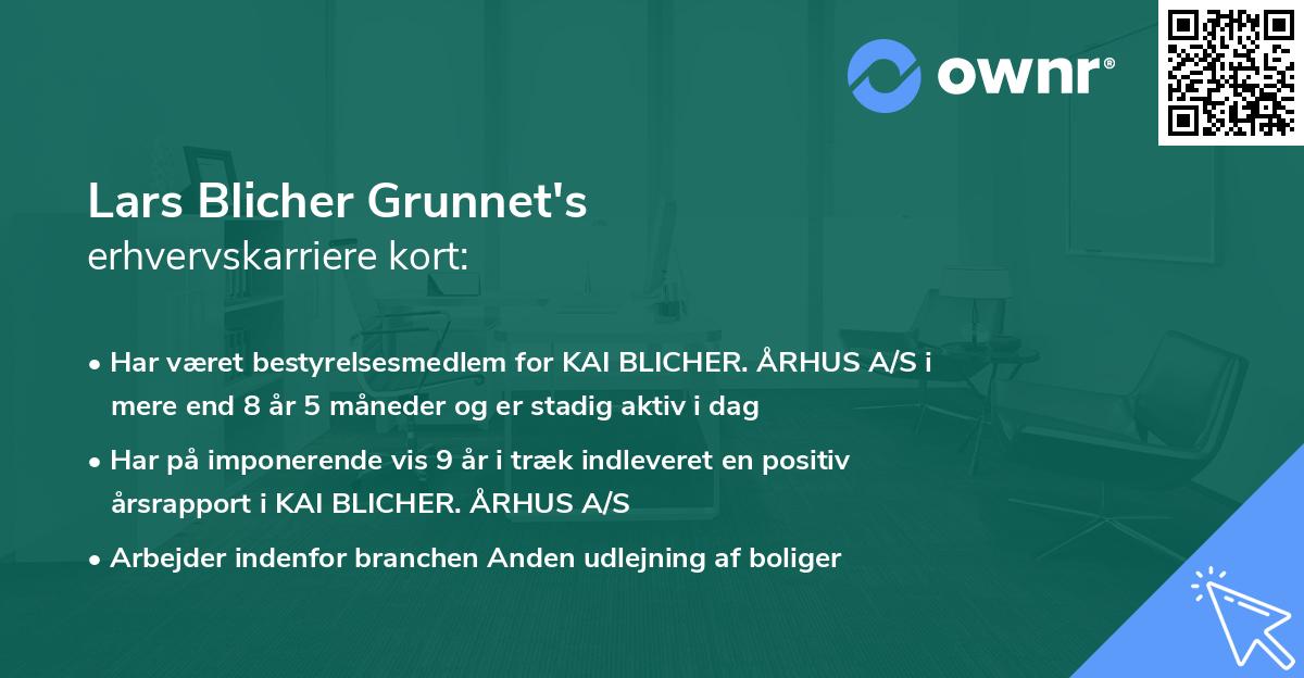 Lars Blicher Grunnet's erhvervskarriere kort