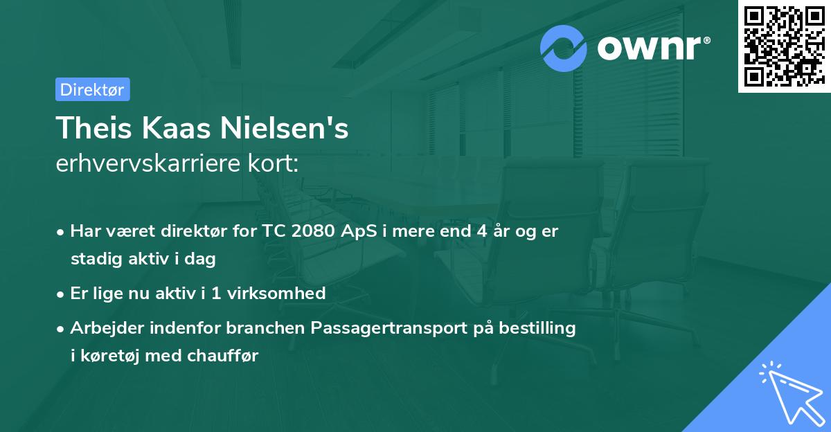 Theis Kaas Nielsen's erhvervskarriere kort