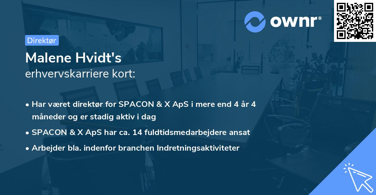 Malene Hvidt's erhvervskarriere kort