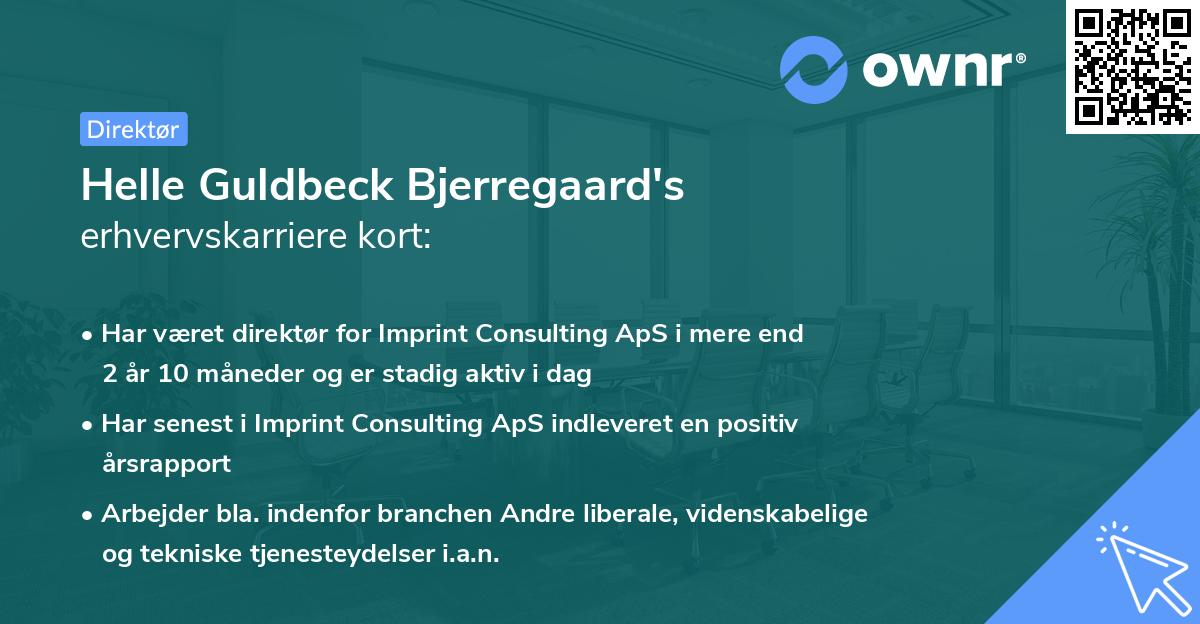 Helle Guldbeck Bjerregaard's erhvervskarriere kort