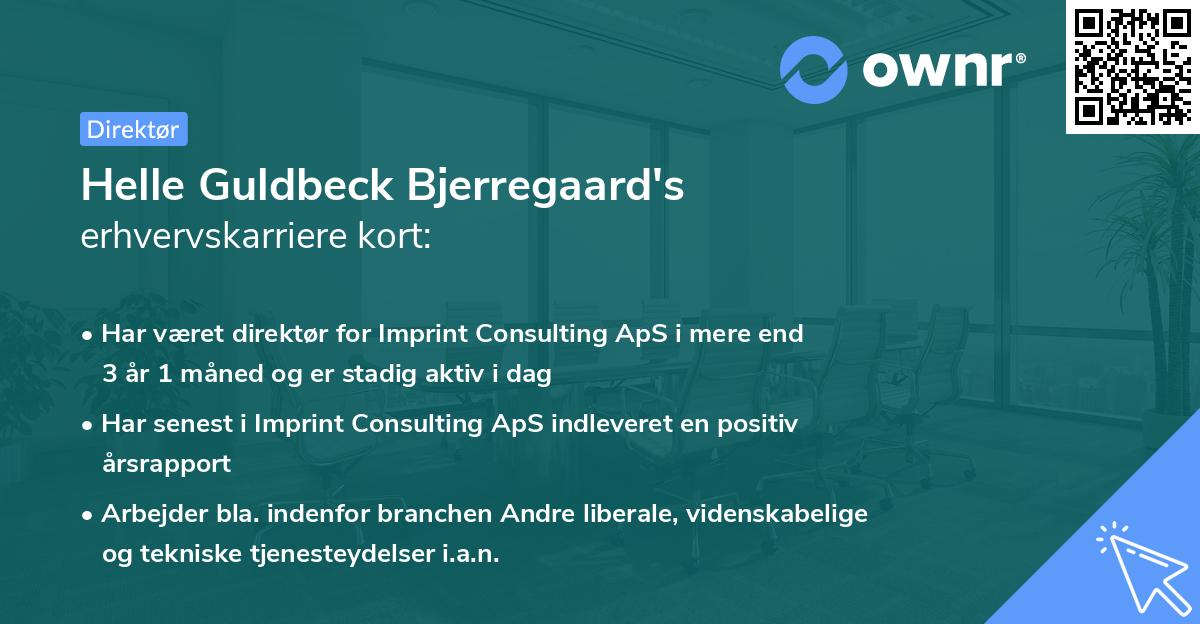 Helle Guldbeck Bjerregaard's erhvervskarriere kort