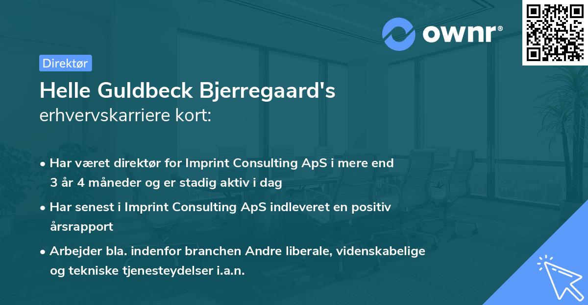 Helle Guldbeck Bjerregaard's erhvervskarriere kort
