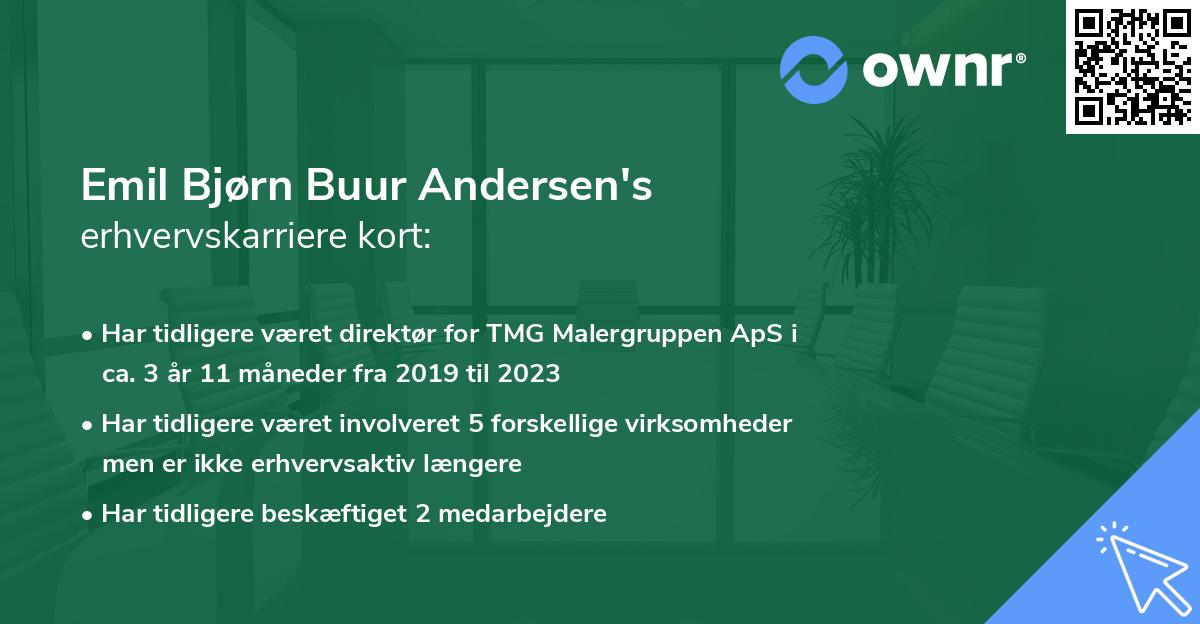 Emil Bjørn Buur Andersen's erhvervskarriere kort