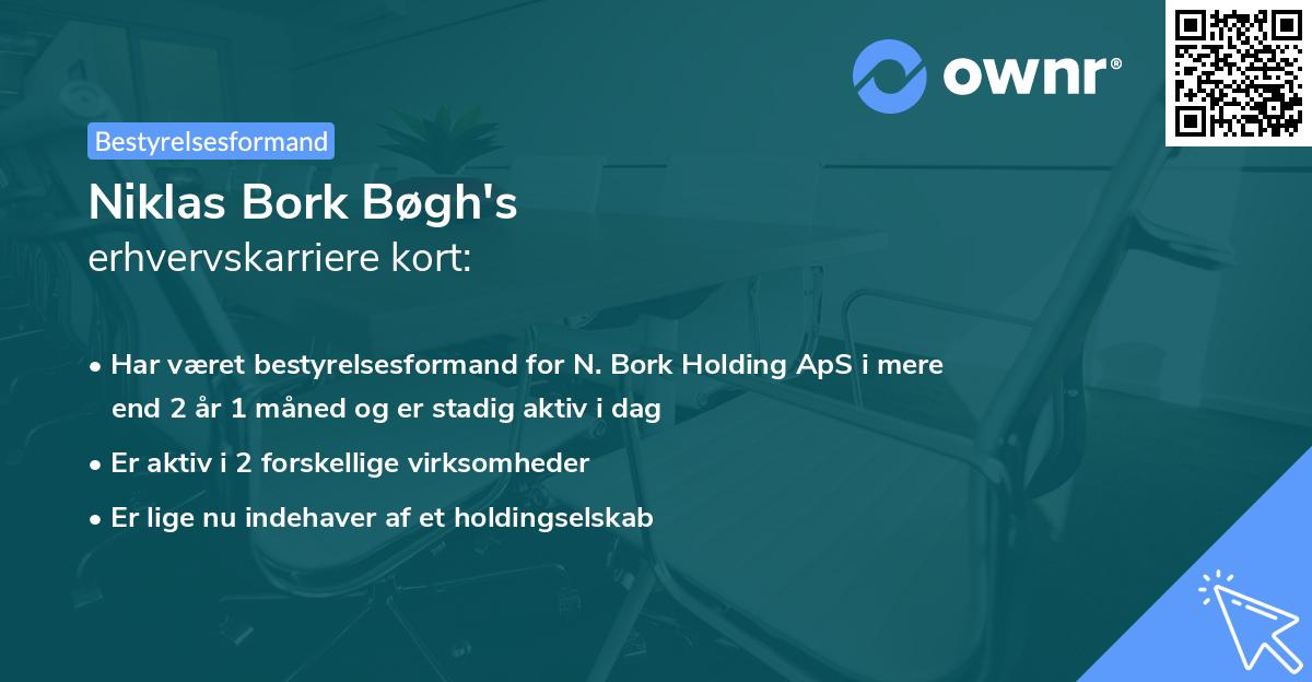 Niklas Bork Bøgh's erhvervskarriere kort