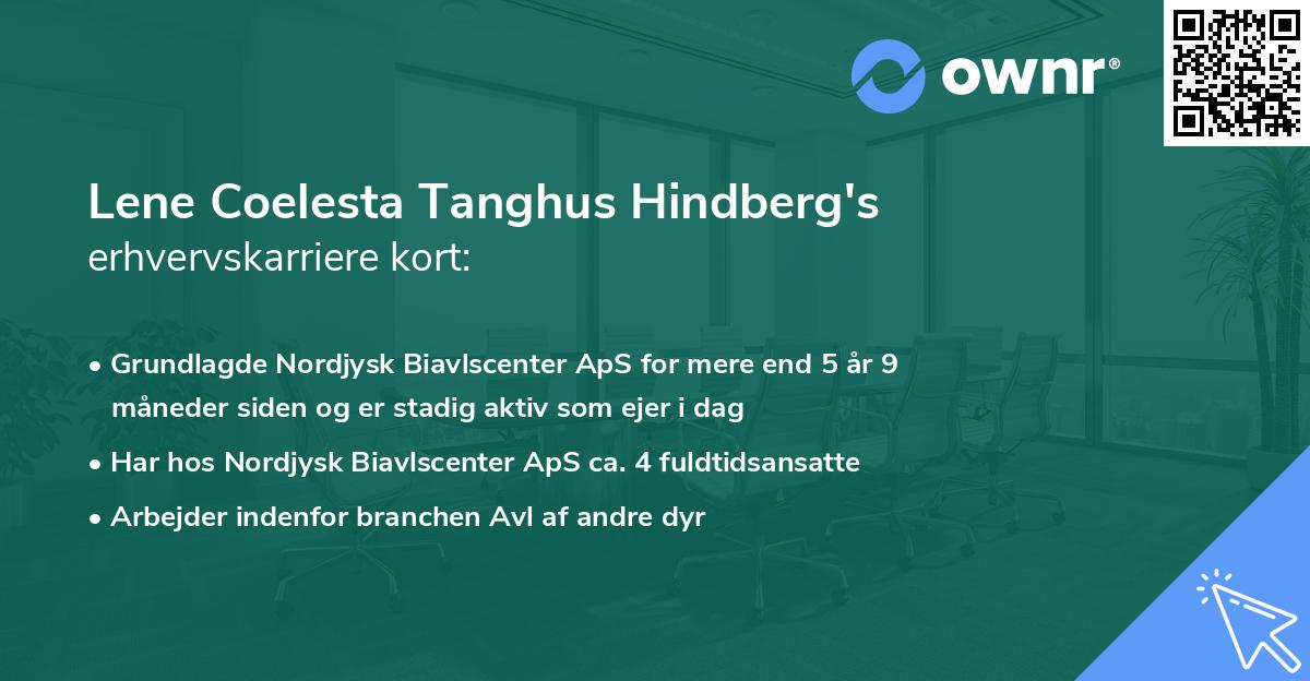 Lene Coelesta Tanghus Hindberg's erhvervskarriere kort