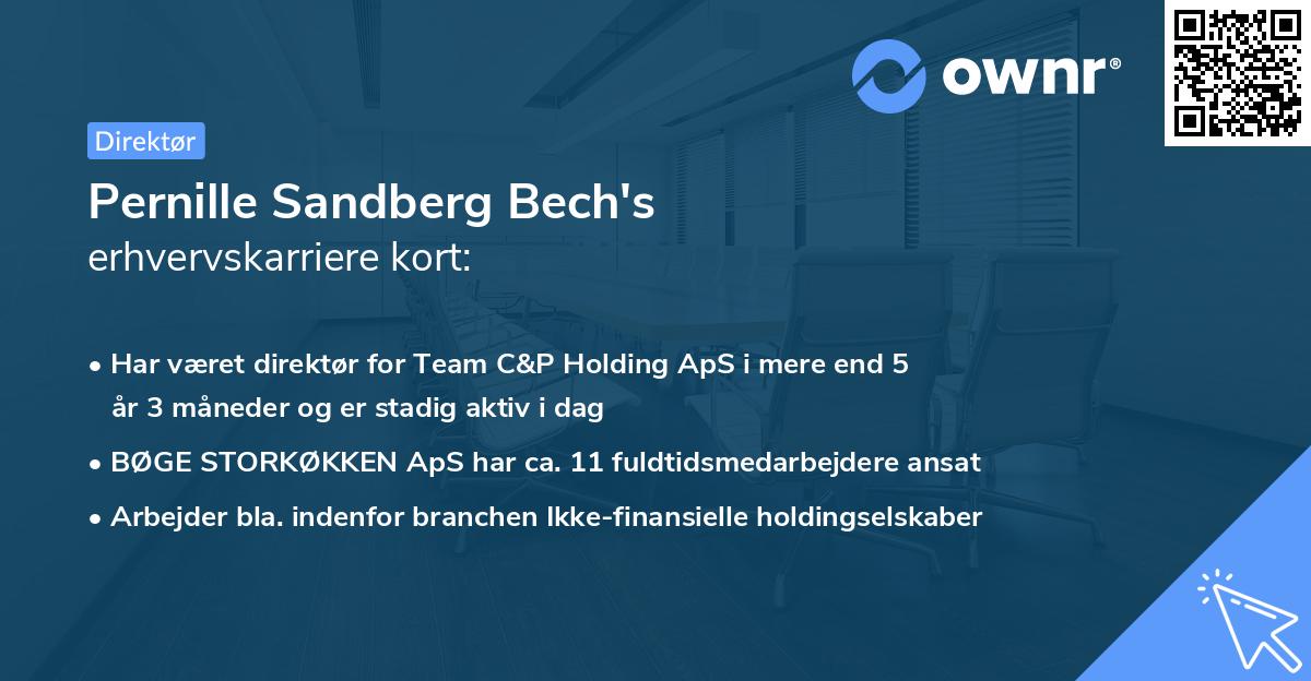 Pernille Sandberg Bech's erhvervskarriere kort