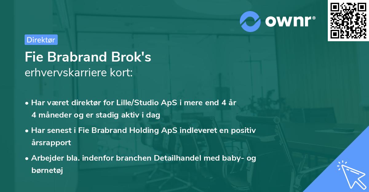 Fie Brabrand Brok's erhvervskarriere kort