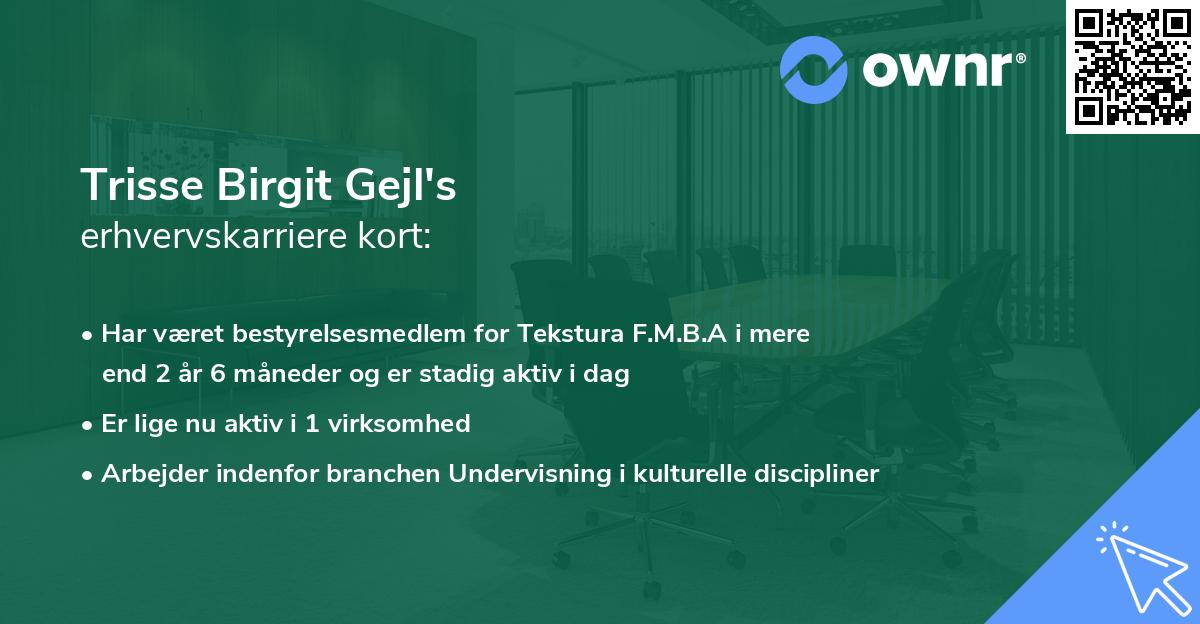 Trisse Birgit Gejl's erhvervskarriere kort