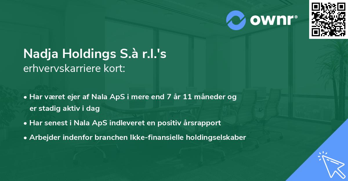 Nadja Holdings S.à r.l.'s erhvervskarriere kort