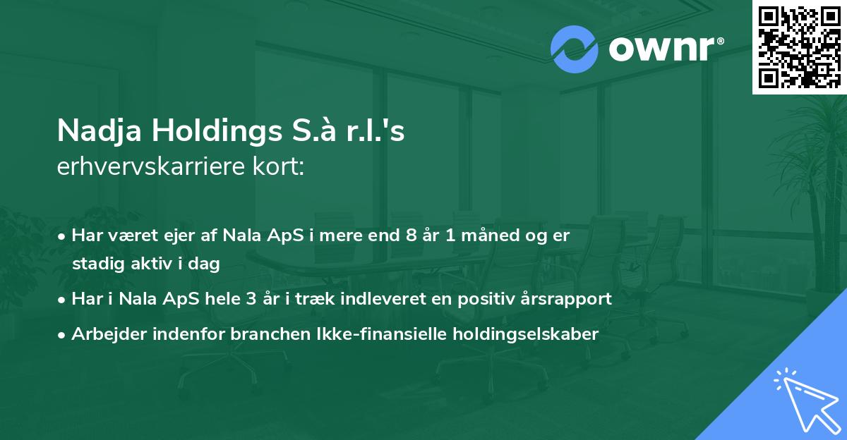 Nadja Holdings S.à r.l.'s erhvervskarriere kort