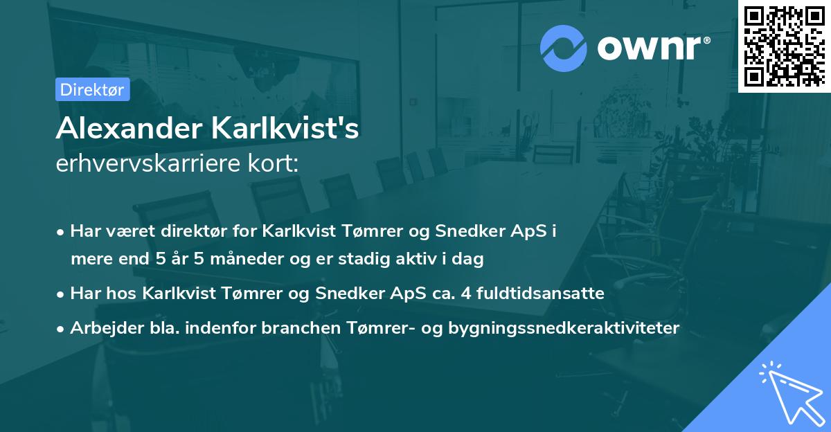 Alexander Karlkvist's erhvervskarriere kort