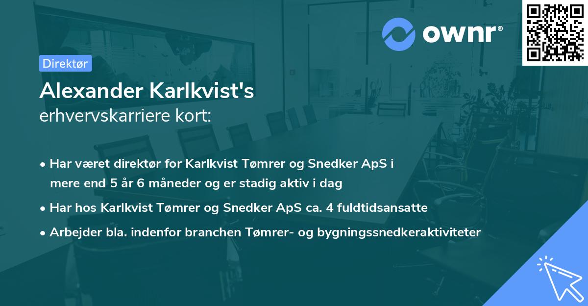 Alexander Karlkvist's erhvervskarriere kort