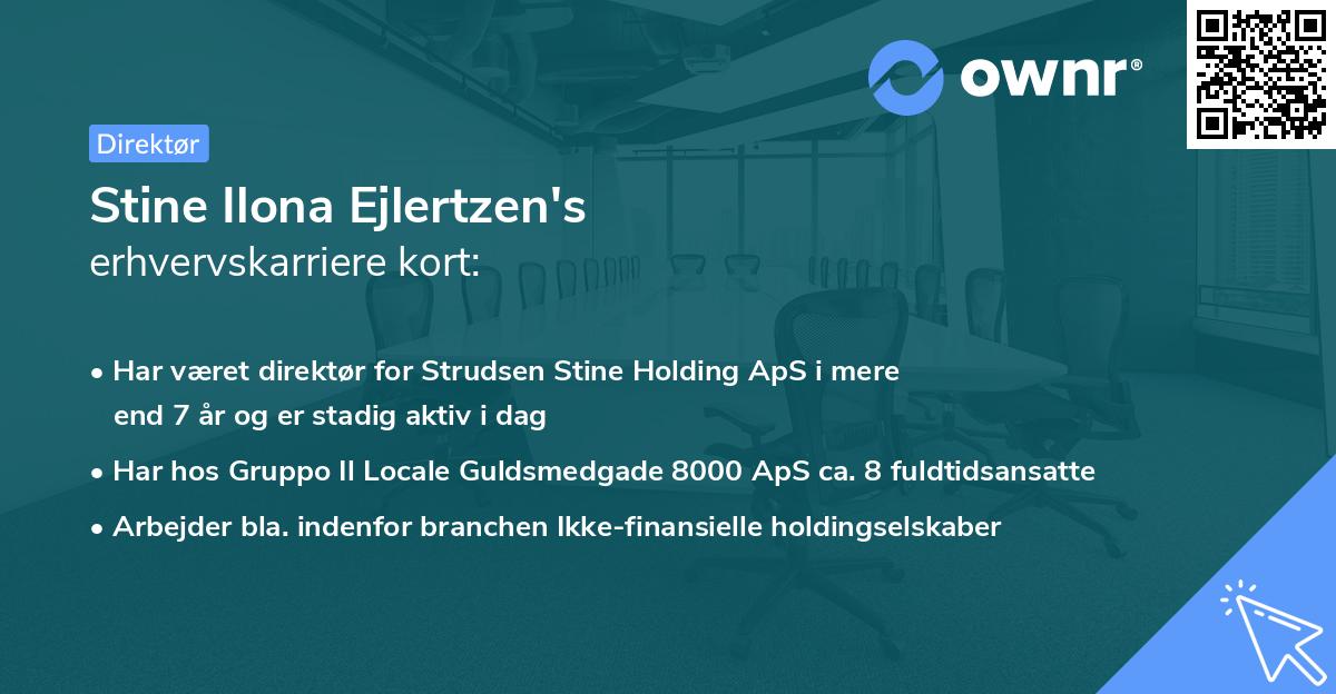 Stine Ilona Ejlertzen's erhvervskarriere kort