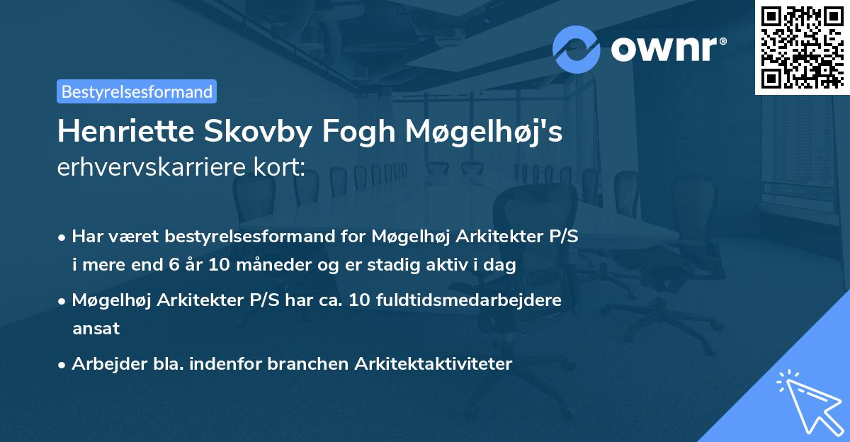 Henriette Skovby Fogh Møgelhøj's erhvervskarriere kort