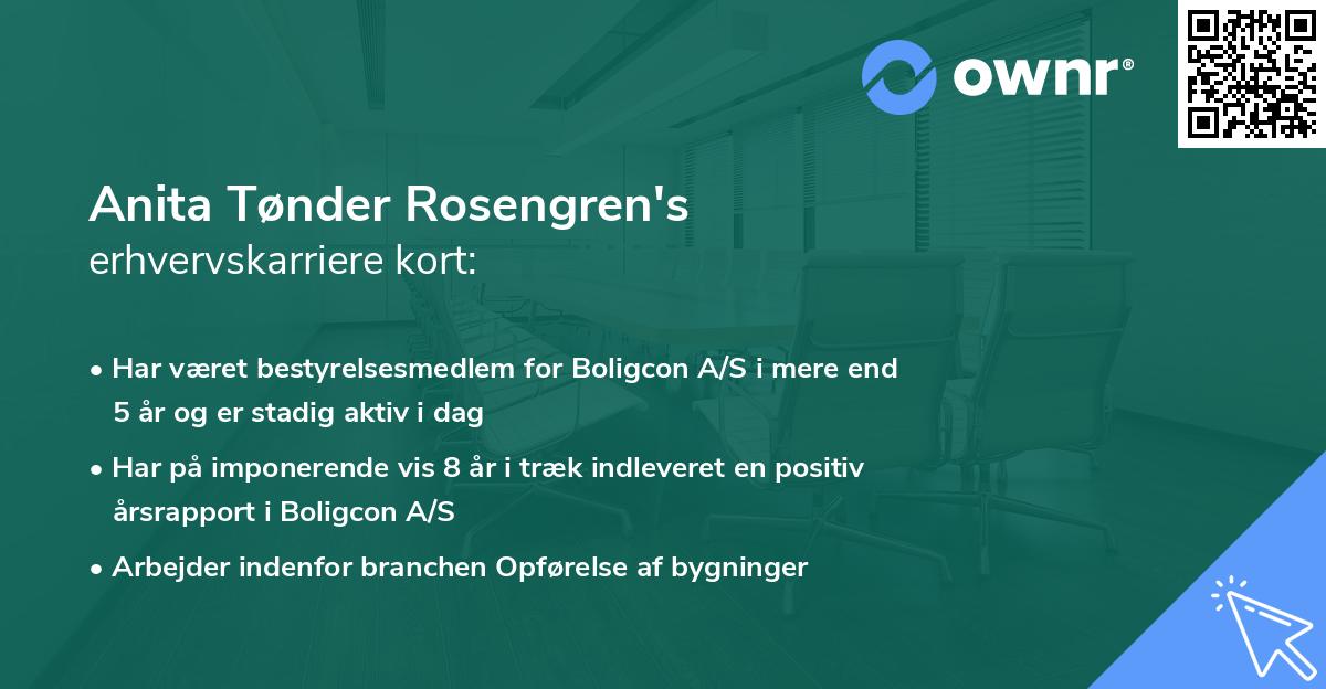 Anita Tønder Rosengren's erhvervskarriere kort