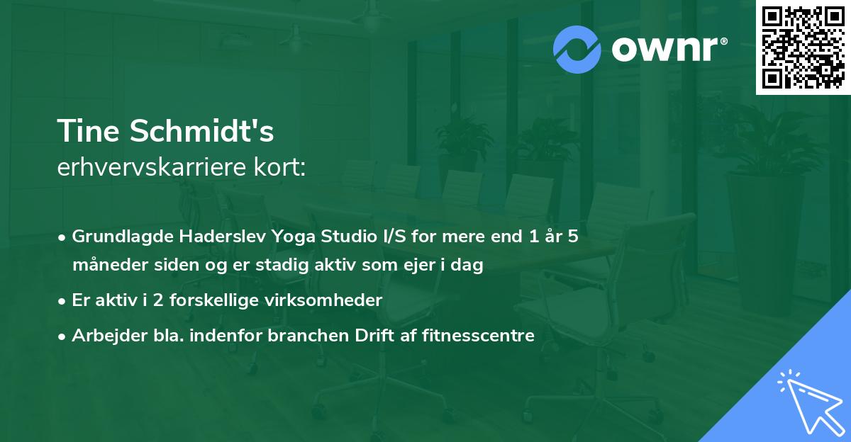 Tine Schmidt's erhvervskarriere kort