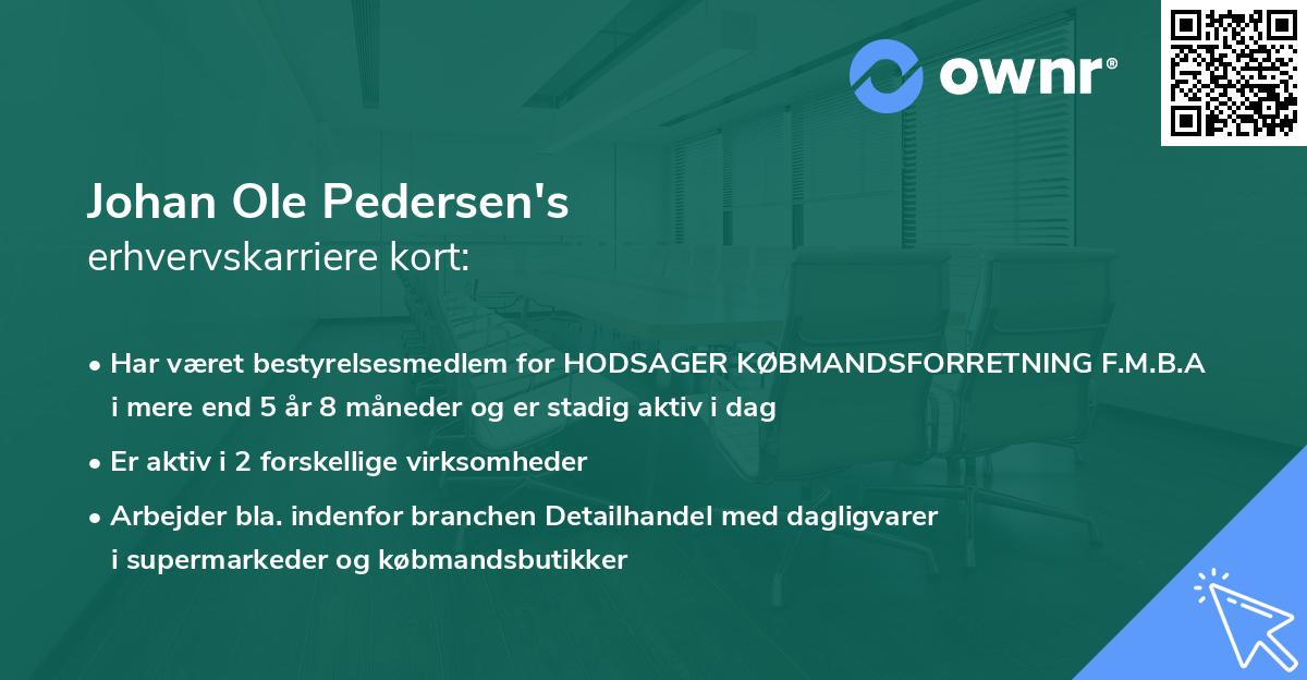 Johan Ole Pedersen's erhvervskarriere kort